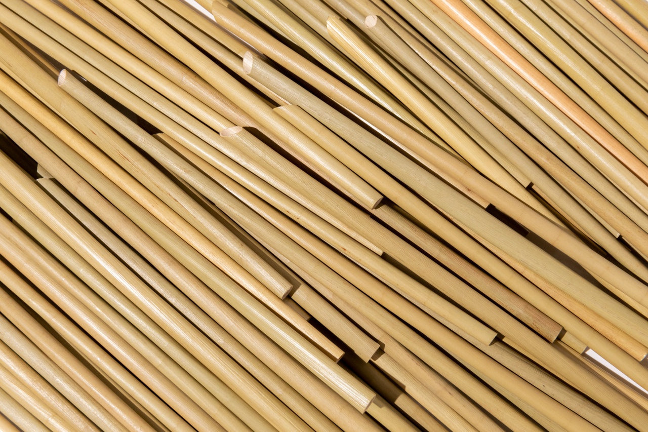 EcoNest Kitchen's 100 Grass Straws - Biodegradable and Eco-Friendly Alternative to Plastic Straws