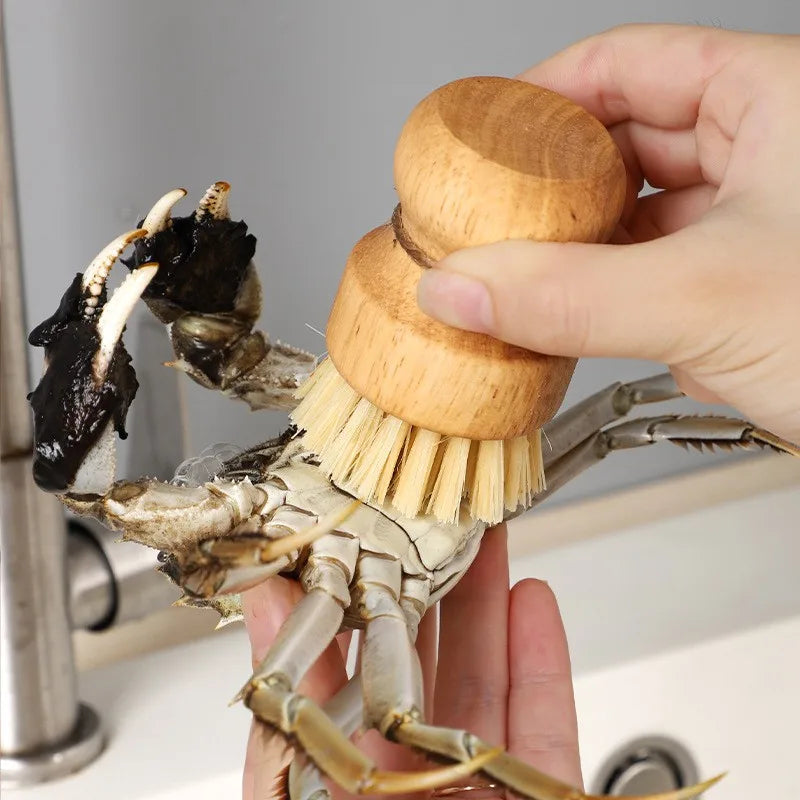 EcoNest Kitchen Wooden Dish Brush with Sisal Bristles