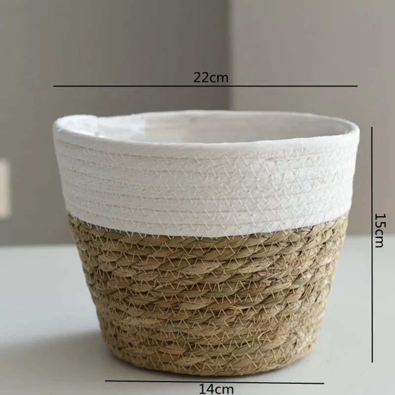 Woven plant pot with white top section on a plain background