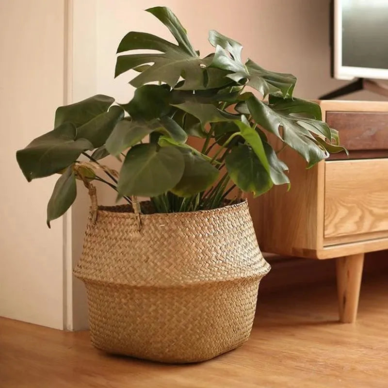 Green plant in a woven basket on a wooden floor with a wooden cabinet in the background.