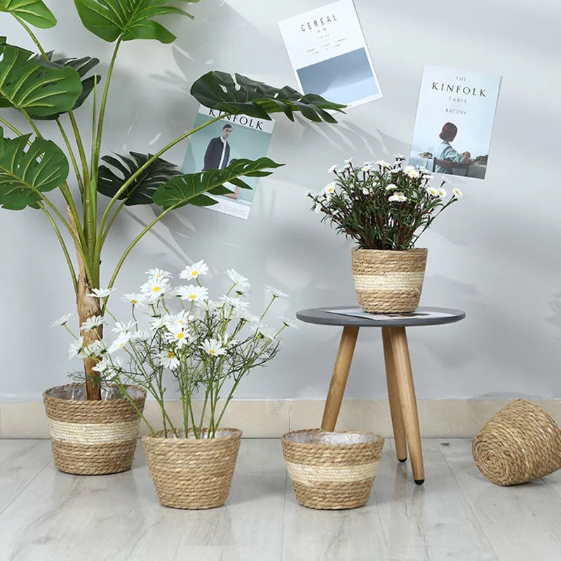 Potted plants and a small table with flowers against a light gray wall.