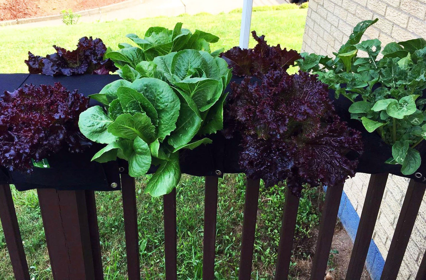 Eco-friendly 2-pocket saddlebag planter hanging on a balcony railing with herbs growing from both sides