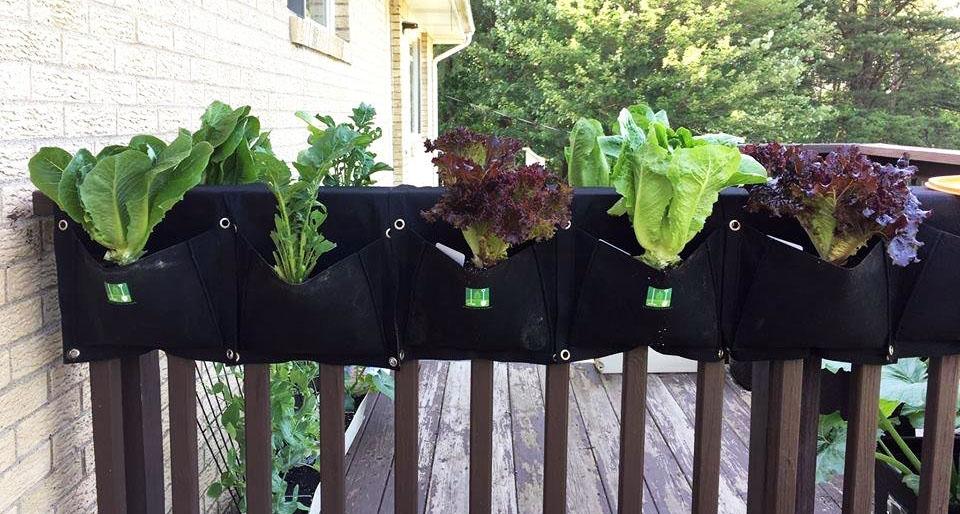 Eco-friendly 2-pocket saddlebag planter hanging on a balcony railing with herbs growing from both sides