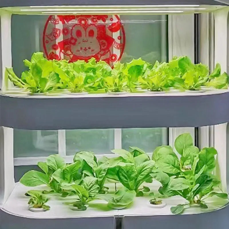 MDNG Multi-Layer Hydroponics Growing System - Smart indoor planter for vegetables, made from durable glass fiber and plastic raw materials.