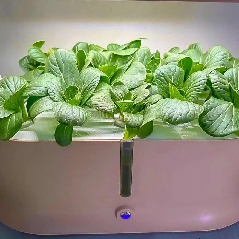 MDNG Multi-Layer Hydroponics Growing System - Smart indoor planter for vegetables, made from durable glass fiber and plastic raw materials.
