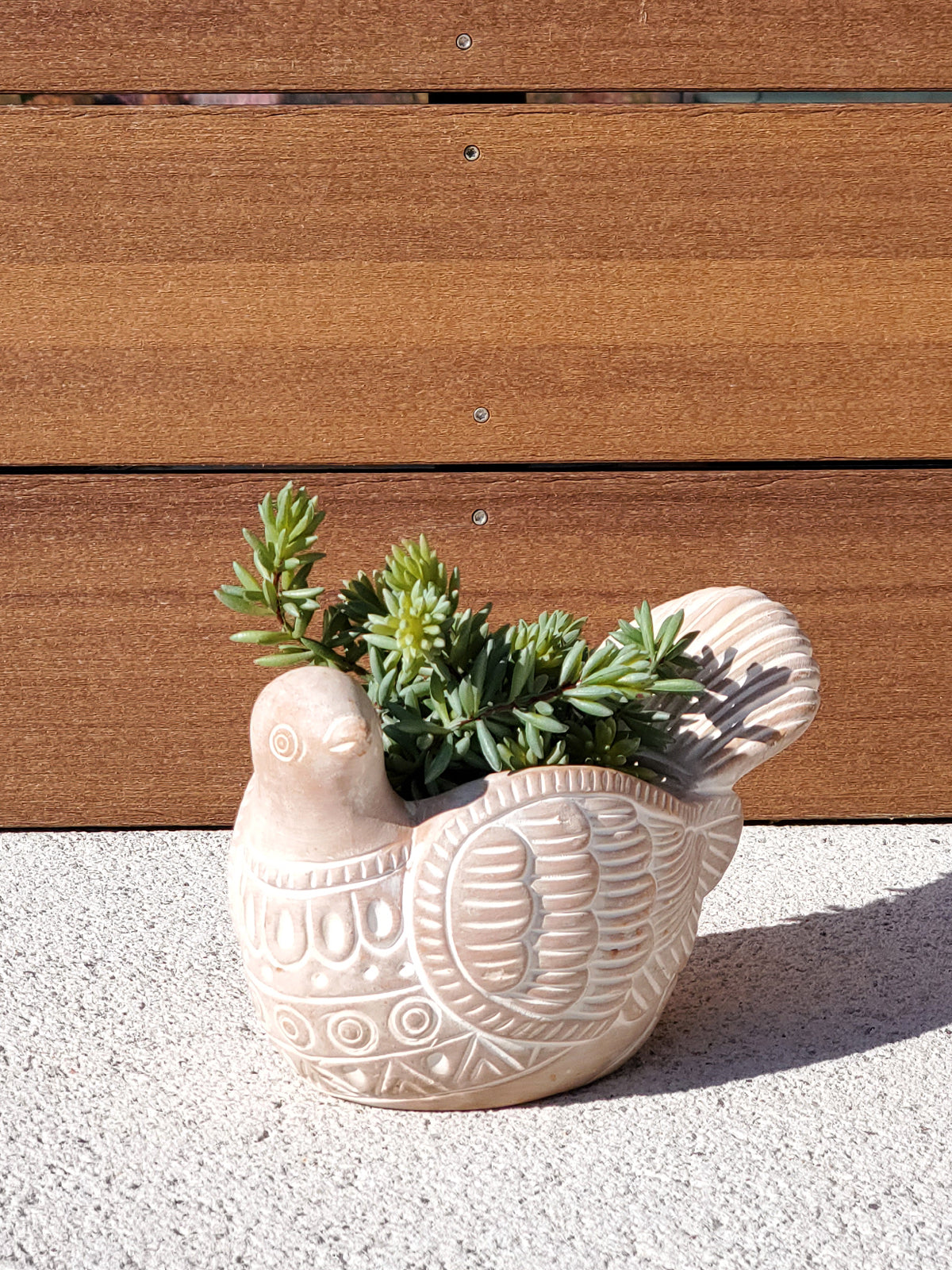 Terracotta Pot - Turtle Dove, eco-friendly planter made from natural materials, perfect for sustainable gardening.