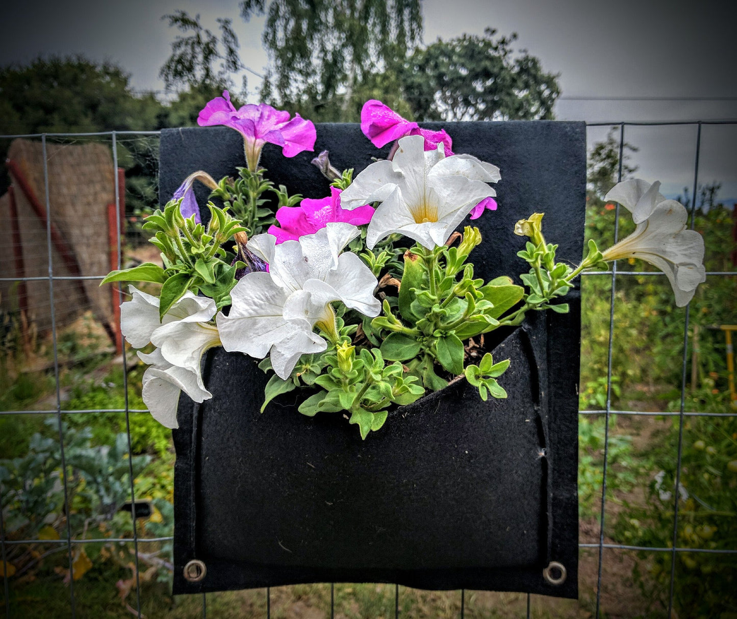Eco-friendly 2-pocket saddlebag planter hanging on a balcony railing with herbs growing from both sides