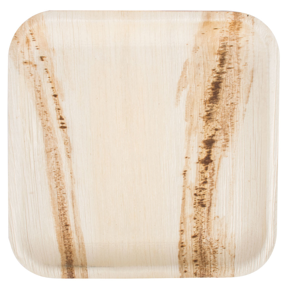 EcoNest Kitchen Palm Leaf Square Plates 10" - Eco-Friendly and Compostable Dinnerware