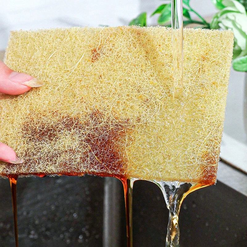 A set of EcoNest Kitchen Sisal Microfiber Sponges in packaging, showcasing the natural fiber texture, ideal for eco-friendly dishwashing and cleaning.