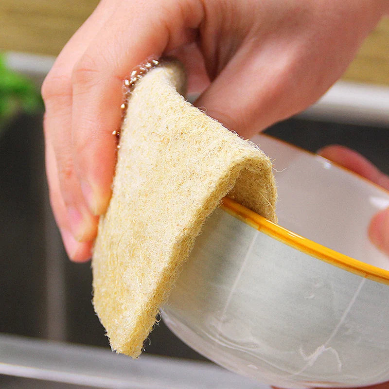 A set of EcoNest Kitchen Sisal Microfiber Sponges in packaging, showcasing the natural fiber texture, ideal for eco-friendly dishwashing and cleaning.