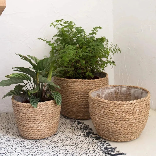 Three woven planters with plants on a textured surface