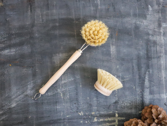 Two natural bristle brushes on a textured dark surface